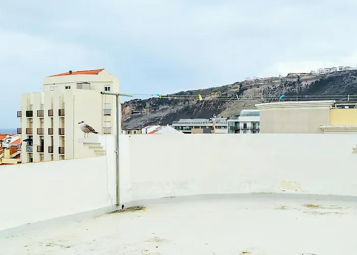 Casa Avo Rosa 아파트 나자레